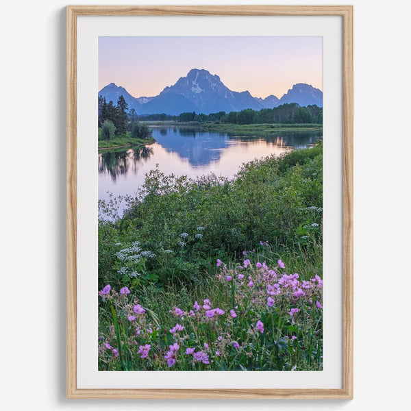 A fine art framed or unframed mountain print of Grand Teton National Park. This portrait orientation nature landscape wall art showcases the beautiful Teton mountains in a pink sunset, with Snake River and stunning flowers in the forefront.