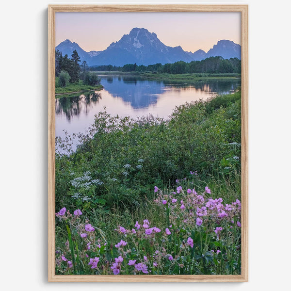 A fine art framed or unframed mountain print of Grand Teton National Park. This portrait orientation nature landscape wall art showcases the beautiful Teton mountains in a pink sunset, with Snake River and stunning flowers in the forefront.