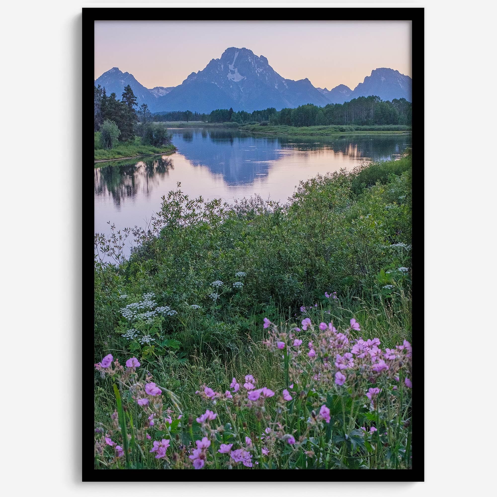 A fine art framed or unframed mountain print of Grand Teton National Park. This portrait orientation nature landscape wall art showcases the beautiful Teton mountains in a pink sunset, with Snake River and stunning flowers in the forefront.