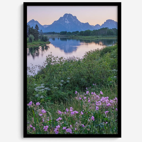 A fine art framed or unframed mountain print of Grand Teton National Park. This portrait orientation nature landscape wall art showcases the beautiful Teton mountains in a pink sunset, with Snake River and stunning flowers in the forefront.