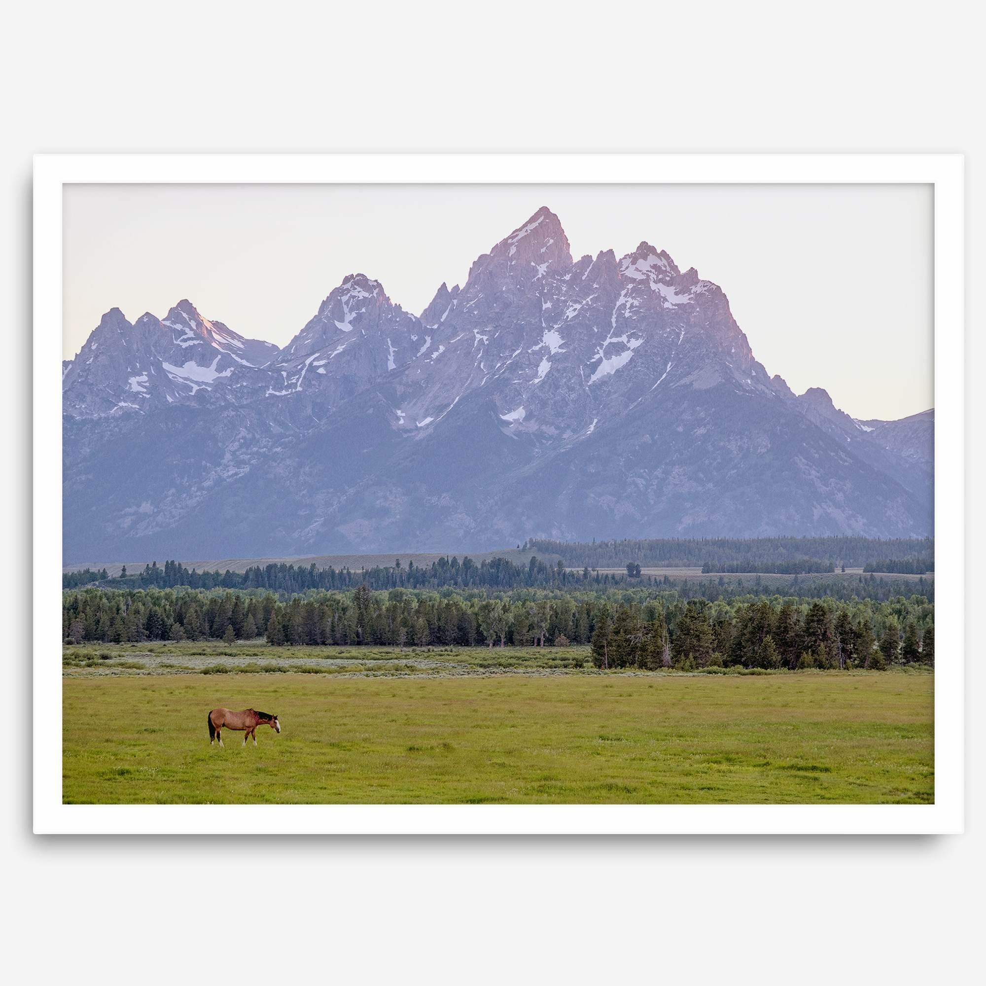 A stunning snow-covered mountain framed or unframed print from Grand Teton National Park with a beautiful horse grazing the grass in the forefront.