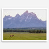 A stunning snow-covered mountain framed or unframed print from Grand Teton National Park with a beautiful horse grazing the grass in the forefront.