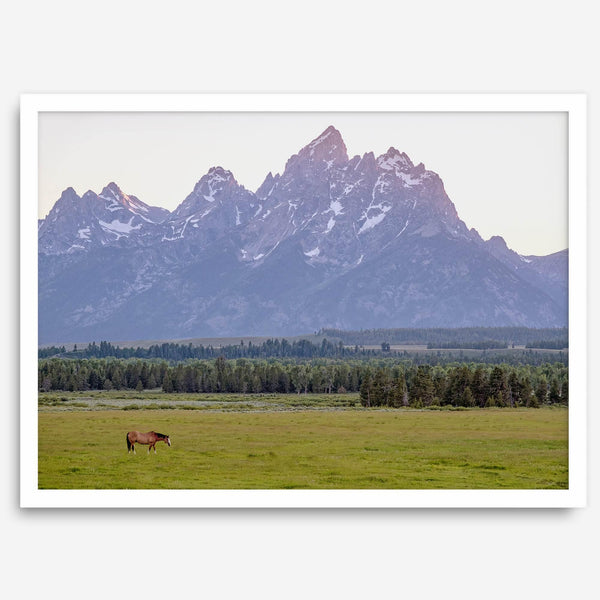 A stunning snow-covered mountain framed or unframed print from Grand Teton National Park with a beautiful horse grazing the grass in the forefront.