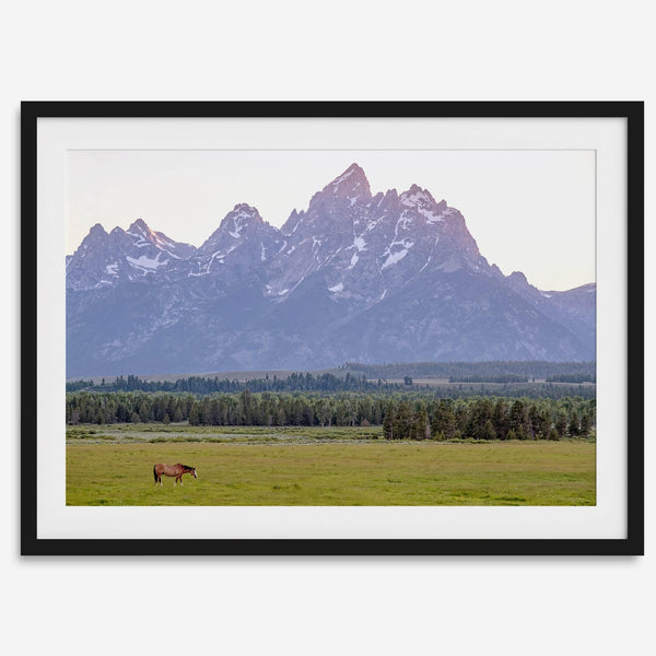 A stunning snow-covered mountain framed or unframed print from Grand Teton National Park with a beautiful horse grazing the grass in the forefront.