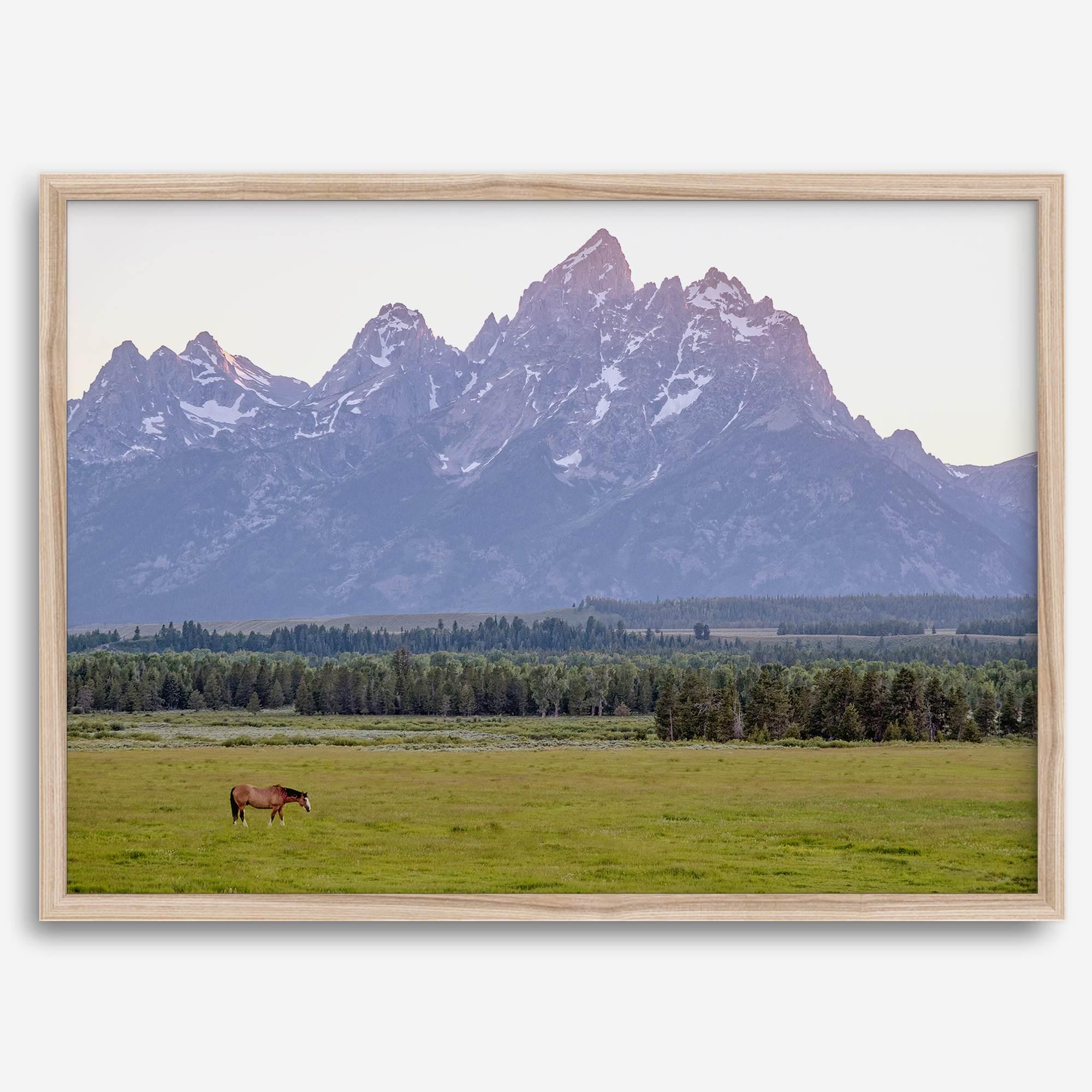 A stunning snow-covered mountain framed or unframed print from Grand Teton National Park with a beautiful horse grazing the grass in the forefront.