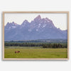 A stunning snow-covered mountain framed or unframed print from Grand Teton National Park with a beautiful horse grazing the grass in the forefront.