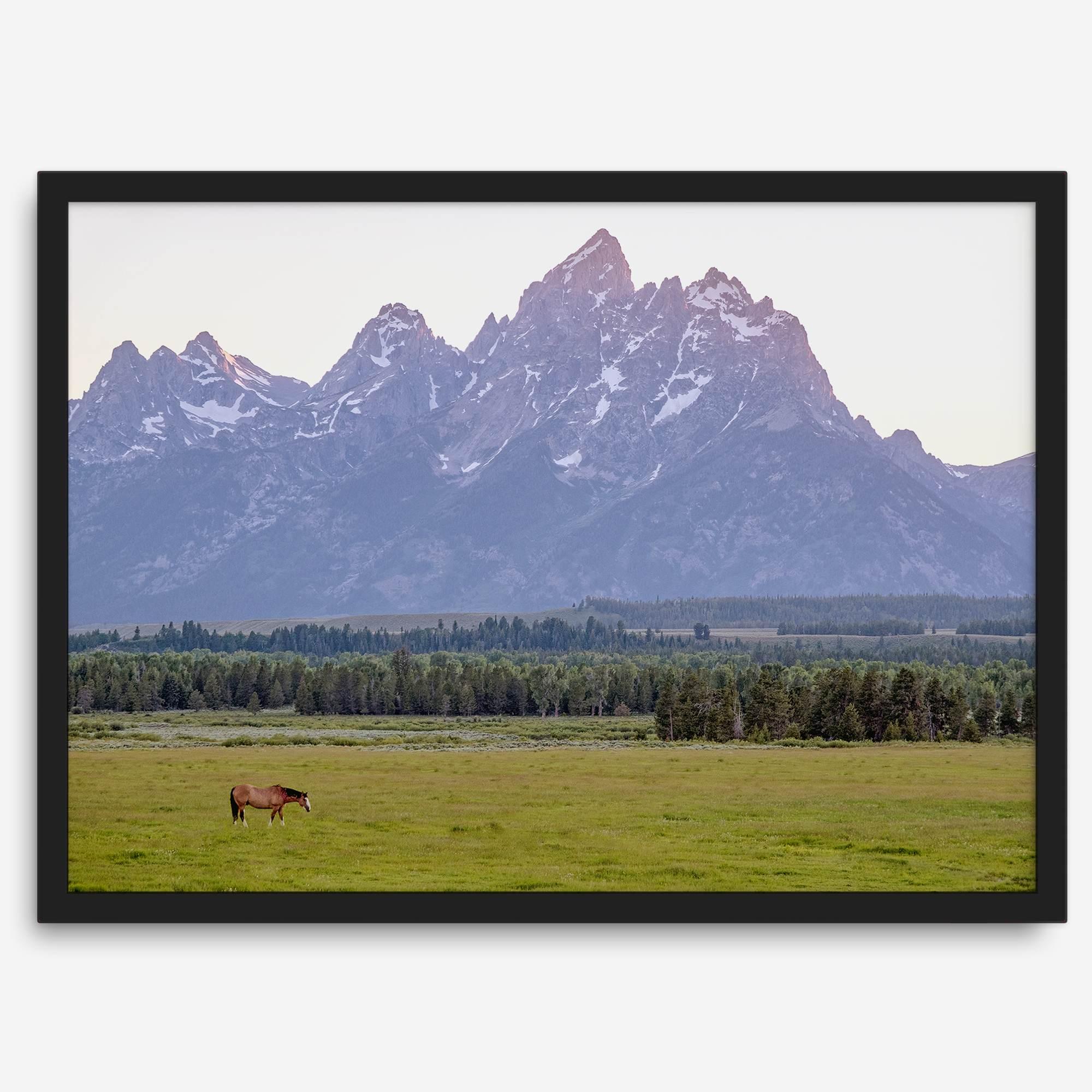 A stunning snow-covered mountain framed or unframed print from Grand Teton National Park with a beautiful horse grazing the grass in the forefront.