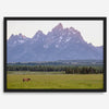 A stunning snow-covered mountain framed or unframed print from Grand Teton National Park with a beautiful horse grazing the grass in the forefront.