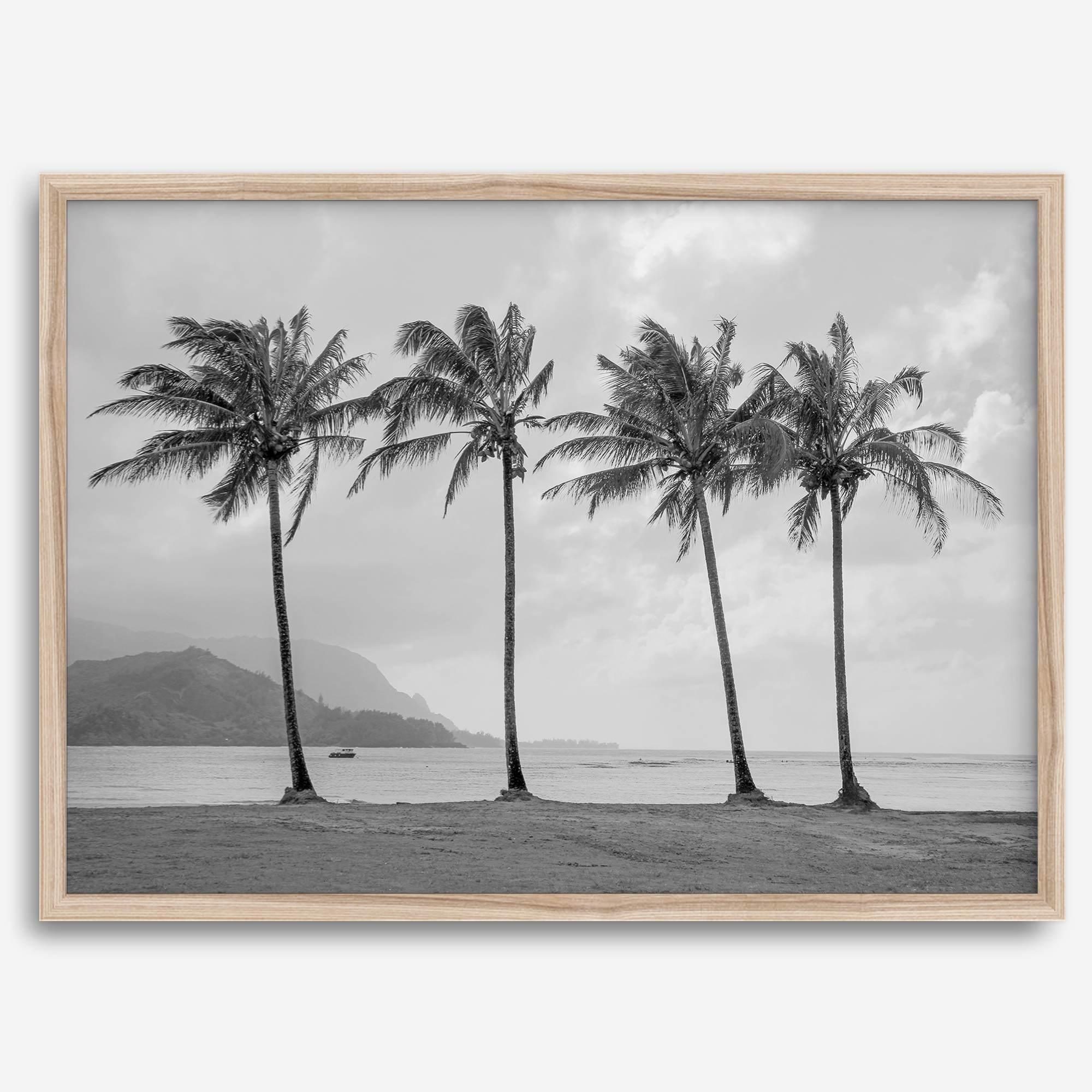 Black and white Hanalei Beach wall art featuring four palm trees with a coastal Kauai backdrop.