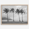 Black and white Hanalei Beach wall art featuring four palm trees with a coastal Kauai backdrop.
