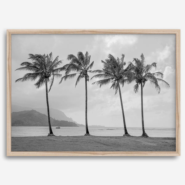 Black and white Hanalei Beach wall art featuring four palm trees with a coastal Kauai backdrop.