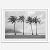 Black and white Hanalei Beach wall art featuring four palm trees with a coastal Kauai backdrop.