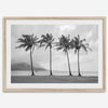 Black and white Hanalei Beach wall art featuring four palm trees with a coastal Kauai backdrop.
