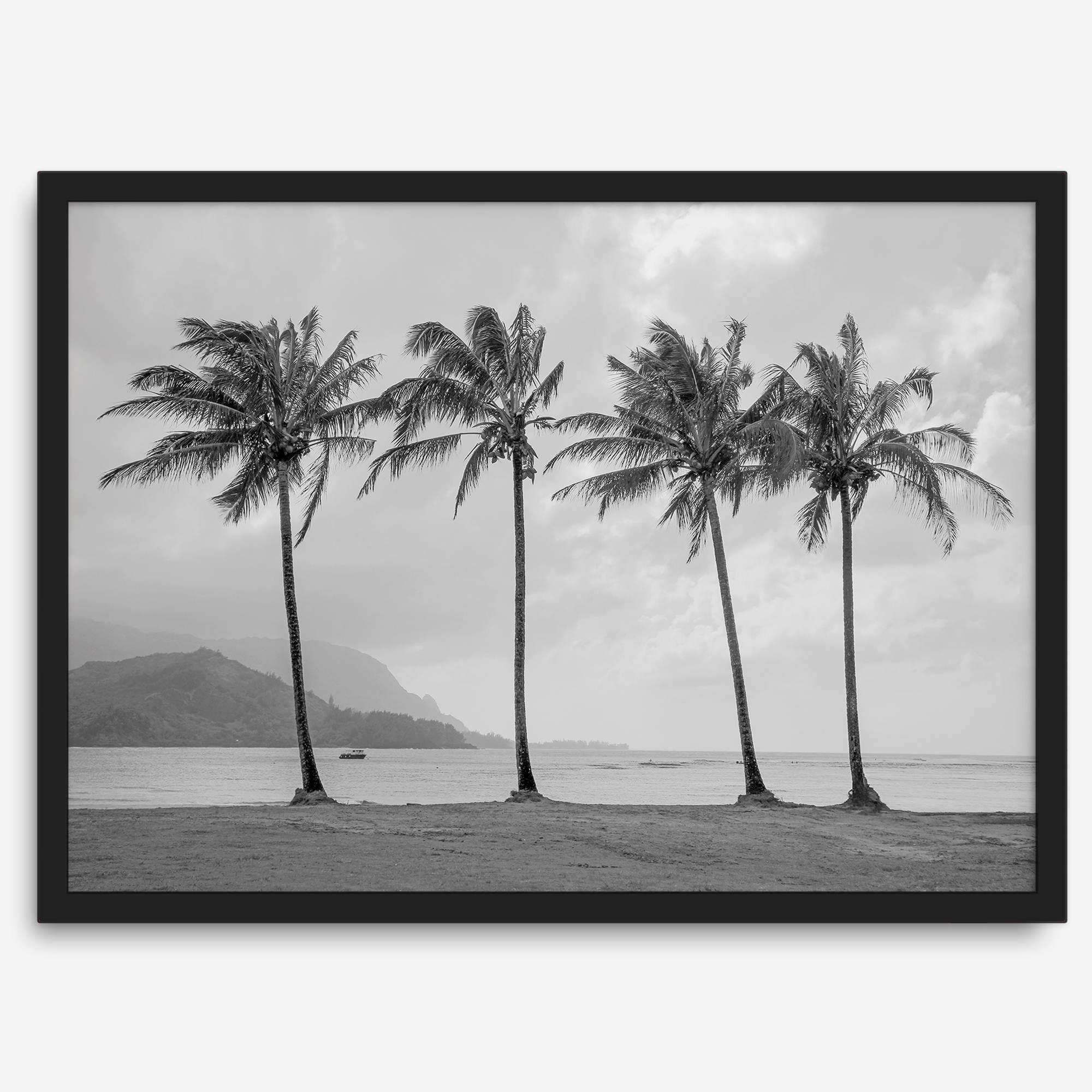Black and white Hanalei Beach wall art featuring four palm trees with a coastal Kauai backdrop.