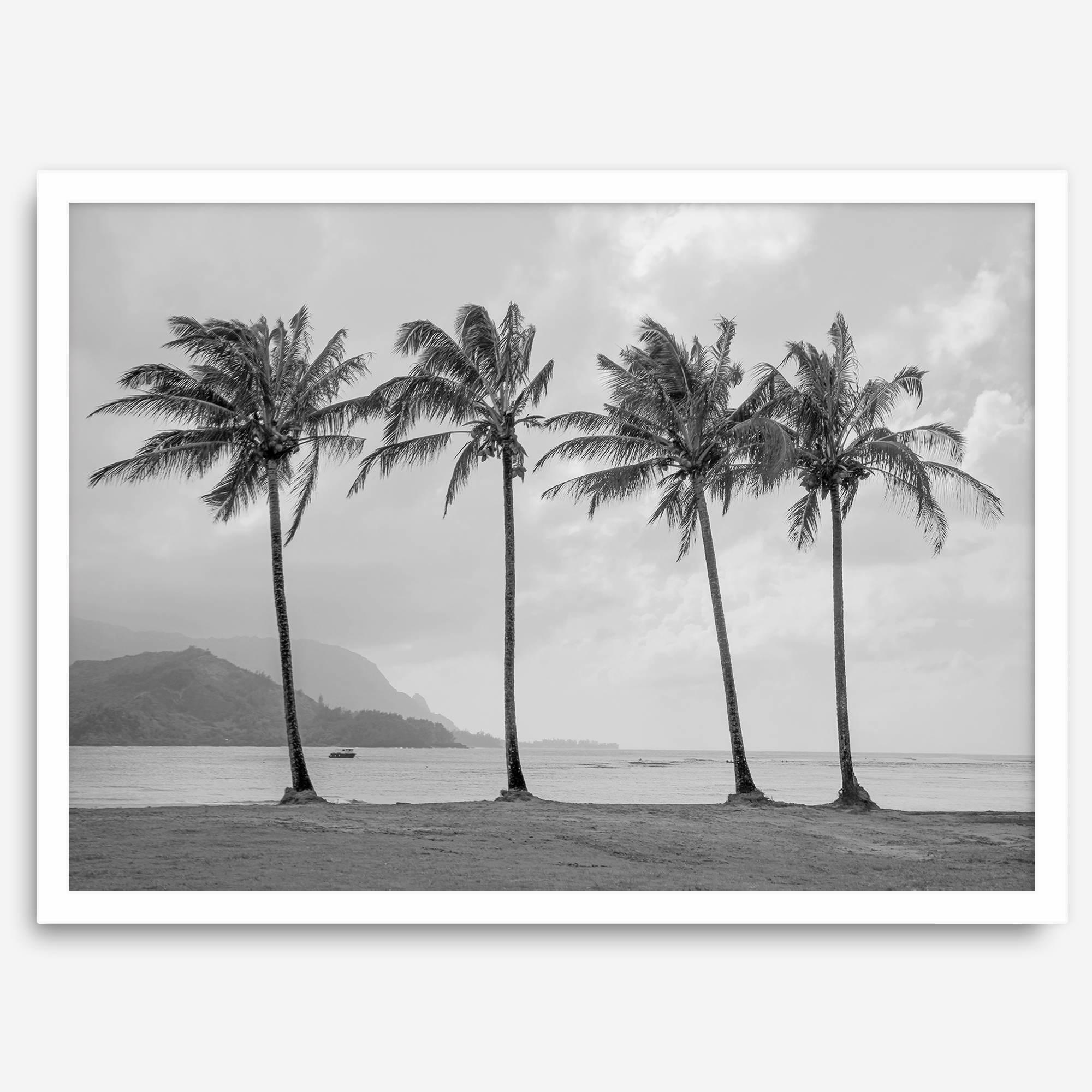 Black and white Hanalei Beach wall art featuring four palm trees with a coastal Kauai backdrop.