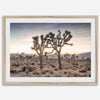 A framed fine art photography print from Joshua Tree National Park of two Joshua Trees in the Sunset. The trees appear to be holding hands. This California desert landscape wall art shows the famous Joshua Trees and desert plants in the Sunset.