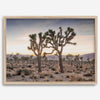 A framed fine art photography print from Joshua Tree National Park of two Joshua Trees in the Sunset. The trees appear to be holding hands. This California desert landscape wall art shows the famous Joshua Trees and desert plants in the Sunset.