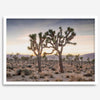 A framed fine art photography print from Joshua Tree National Park of two Joshua Trees in the Sunset. The trees appear to be holding hands. This California desert landscape wall art shows the famous Joshua Trees and desert plants in the Sunset.