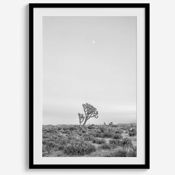 Black and white photo of a lone Joshua Tree at sunset in a desert landscape.