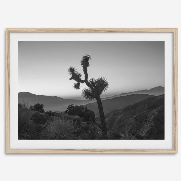 A fine art black and white desert print of a lone Joshua Tree against a sunset with the layered desert mountains behind it.
