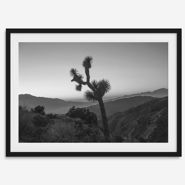 A fine art black and white desert print of a lone Joshua Tree against a sunset with the layered desert mountains behind it.