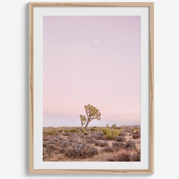 Joshua Tree at dusk fine art print – a serene desert landscape with soft pink skies and a lone Joshua Tree under the moon.