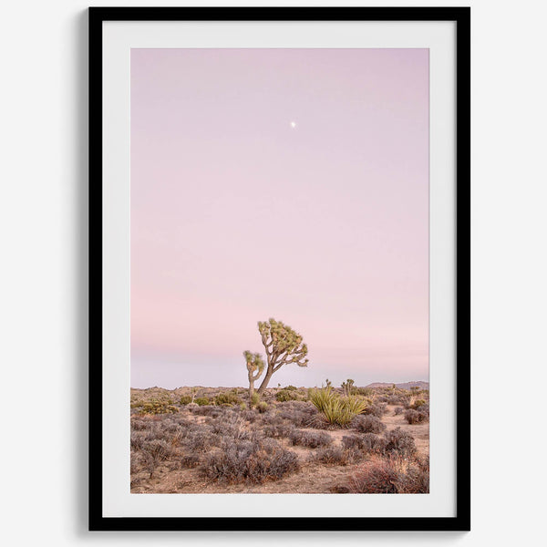 Joshua Tree at dusk fine art print – a serene desert landscape with soft pink skies and a lone Joshua Tree under the moon.