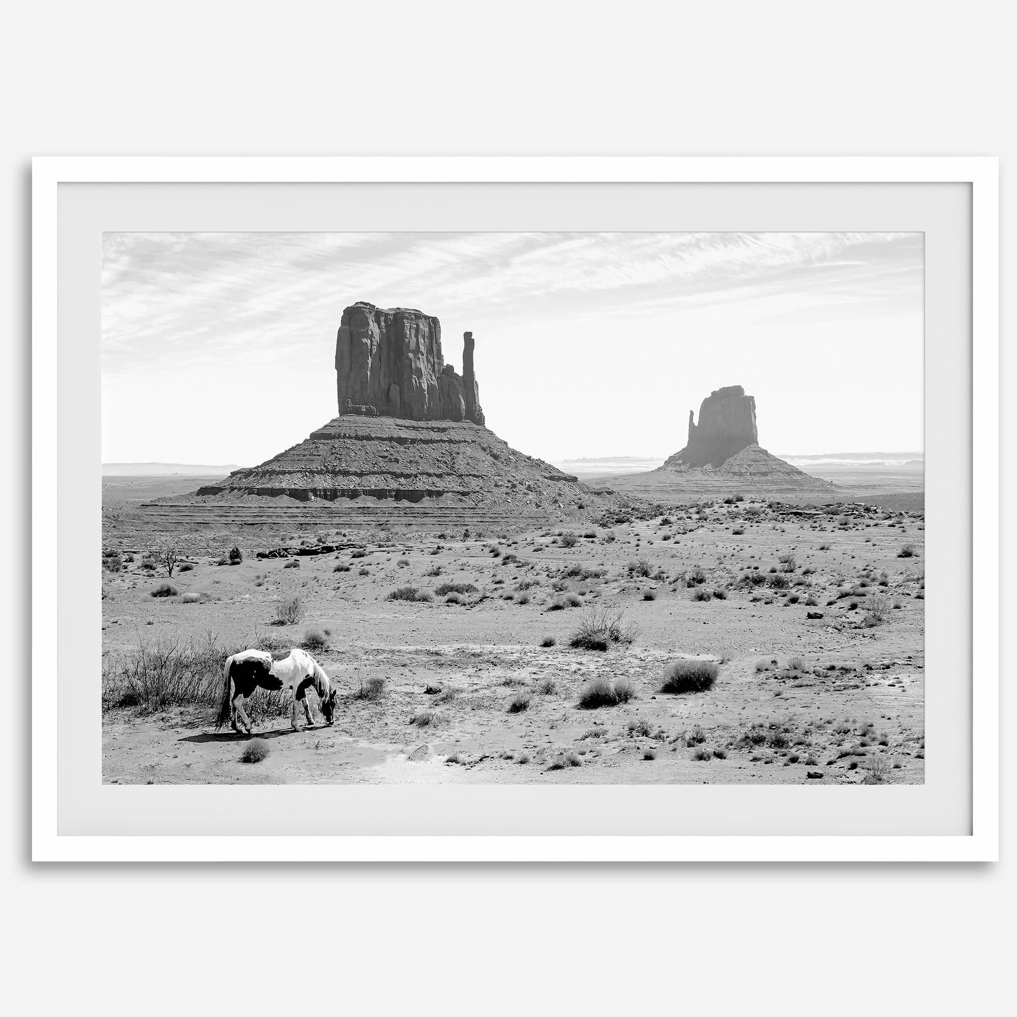 Black and white fine art desert print with wild horses and mesas