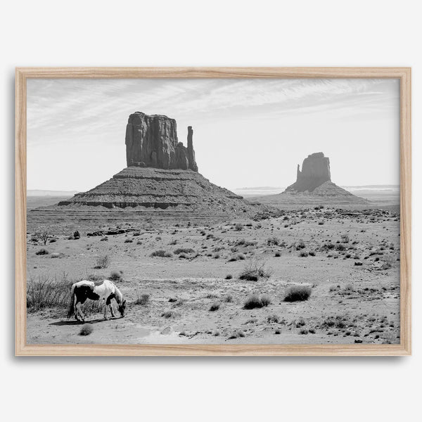 Black and white fine art desert print with wild horses and mesas