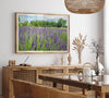 Lavender wall art featuring a fine art photography print of a Lavender field in Washington State with vibrant purple blooms under a clear blue sky.