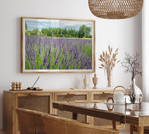 Lavender wall art featuring a fine art photography print of a Lavender field in Washington State with vibrant purple blooms under a clear blue sky.