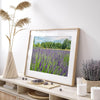 Lavender wall art featuring a fine art photography print of a Lavender field in Washington State with vibrant purple blooms under a clear blue sky.