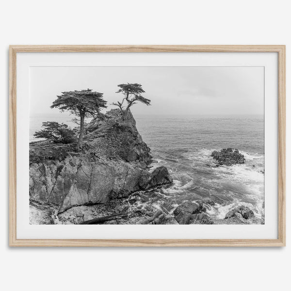 Lone Cypress Tree Coastal Wall Art - Monterey California Beach Print, Black and White Coastal Photography, Framed Ocean Art Wall Decor