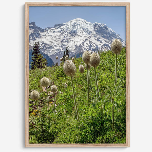 A fine art framed or unframed mountain print of Mount Rainier National Park. This portrait orientation nature landscape wall art showcases the beautiful snow-covered mountain with stunning flowers in the forefront.