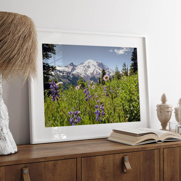 A framed or unframed fine art landscape photography print of Mount Rainier. This Washington wall art showcases a vast bed of flowers in the foreground with the backdrop of the snow-covered Mount Rainier. Perfect as a Mt Rainier National Park poster