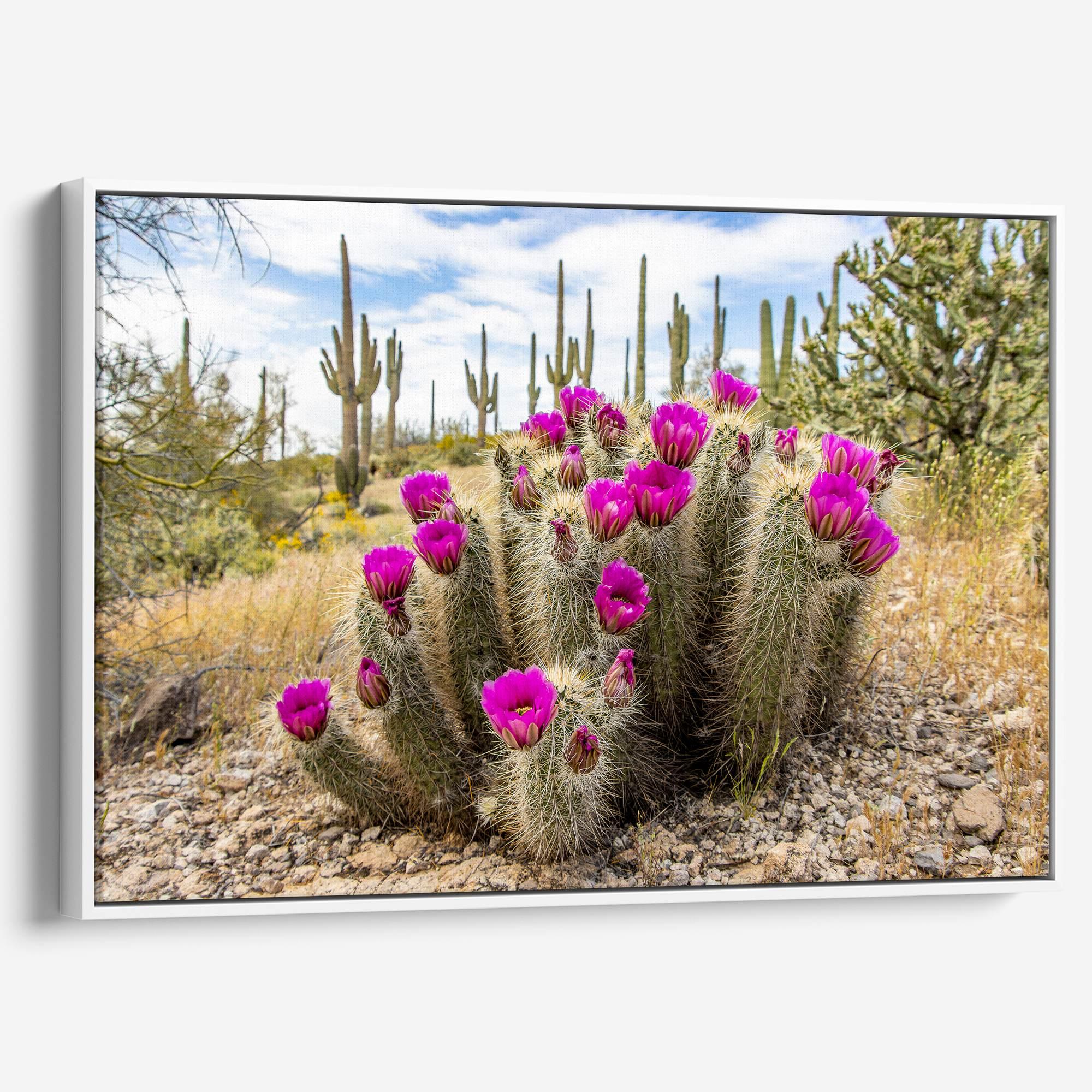 Vivid Arizona desert canvas print featuring flowering cactus and tall saguaros