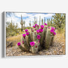 Vivid Arizona desert canvas print featuring flowering cactus and tall saguaros