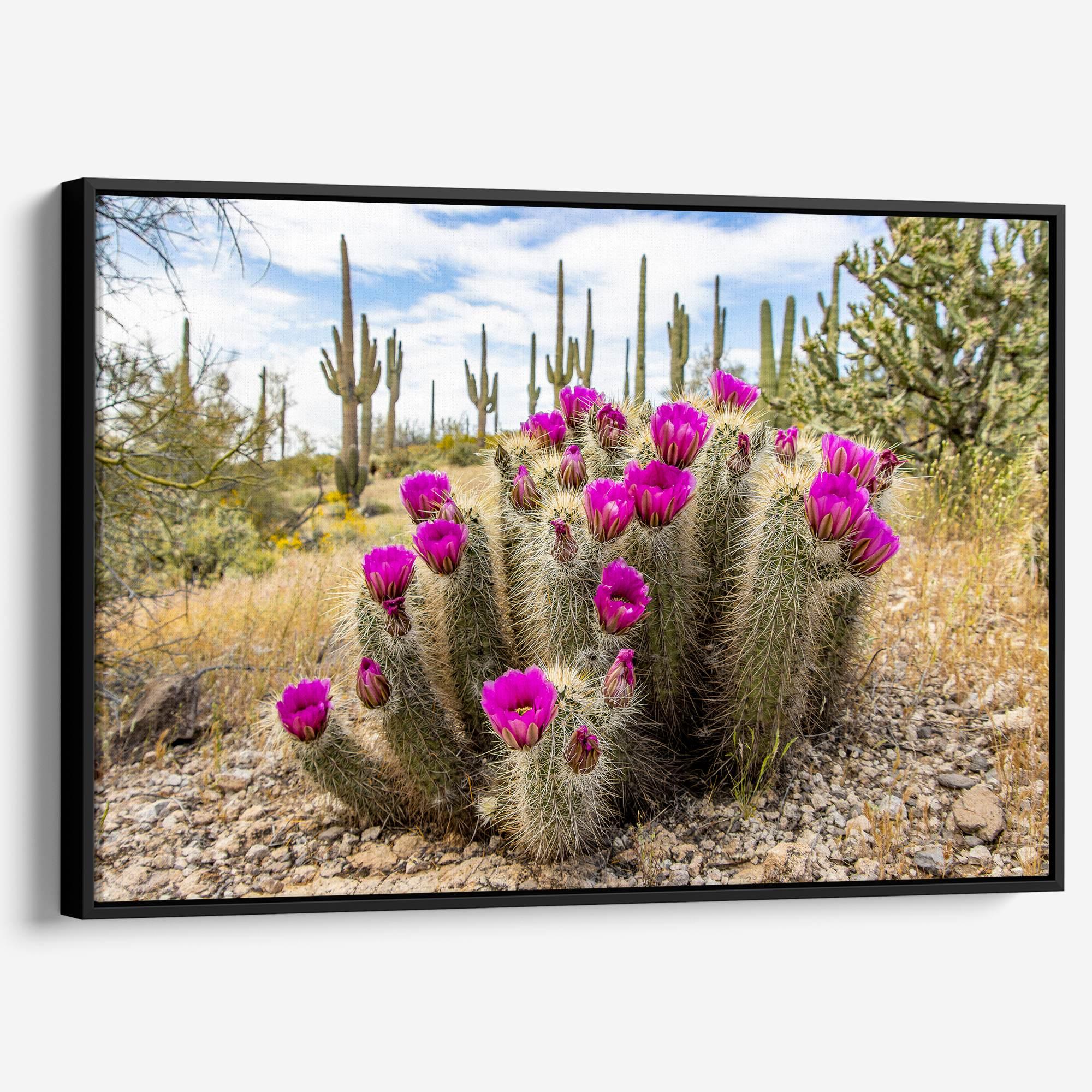 Vivid Arizona desert canvas print featuring flowering cactus and tall saguaros