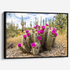 Vivid Arizona desert canvas print featuring flowering cactus and tall saguaros