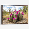 Vivid Arizona desert canvas print featuring flowering cactus and tall saguaros