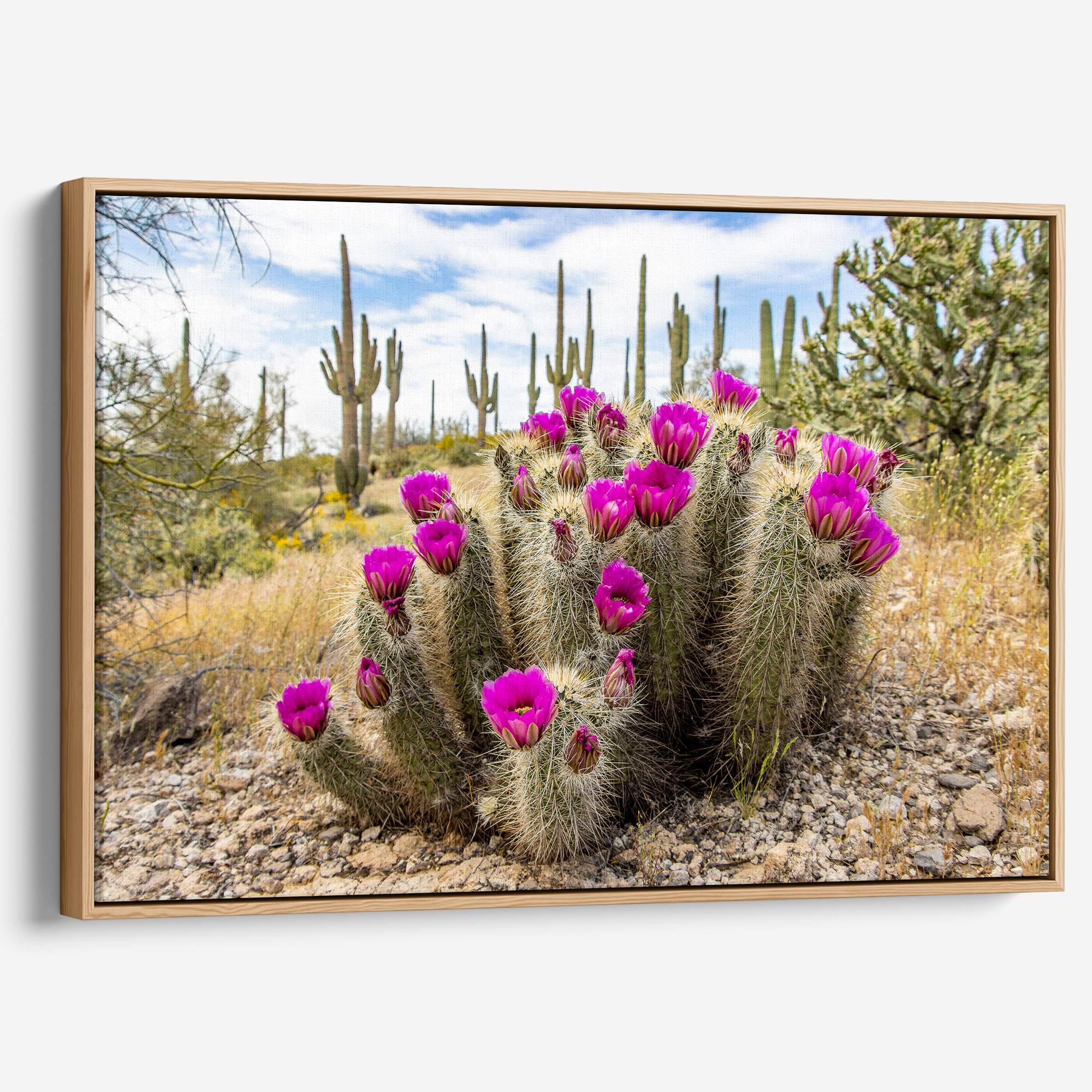Vivid Arizona desert canvas print featuring flowering cactus and tall saguaros