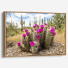 Vivid Arizona desert canvas print featuring flowering cactus and tall saguaros