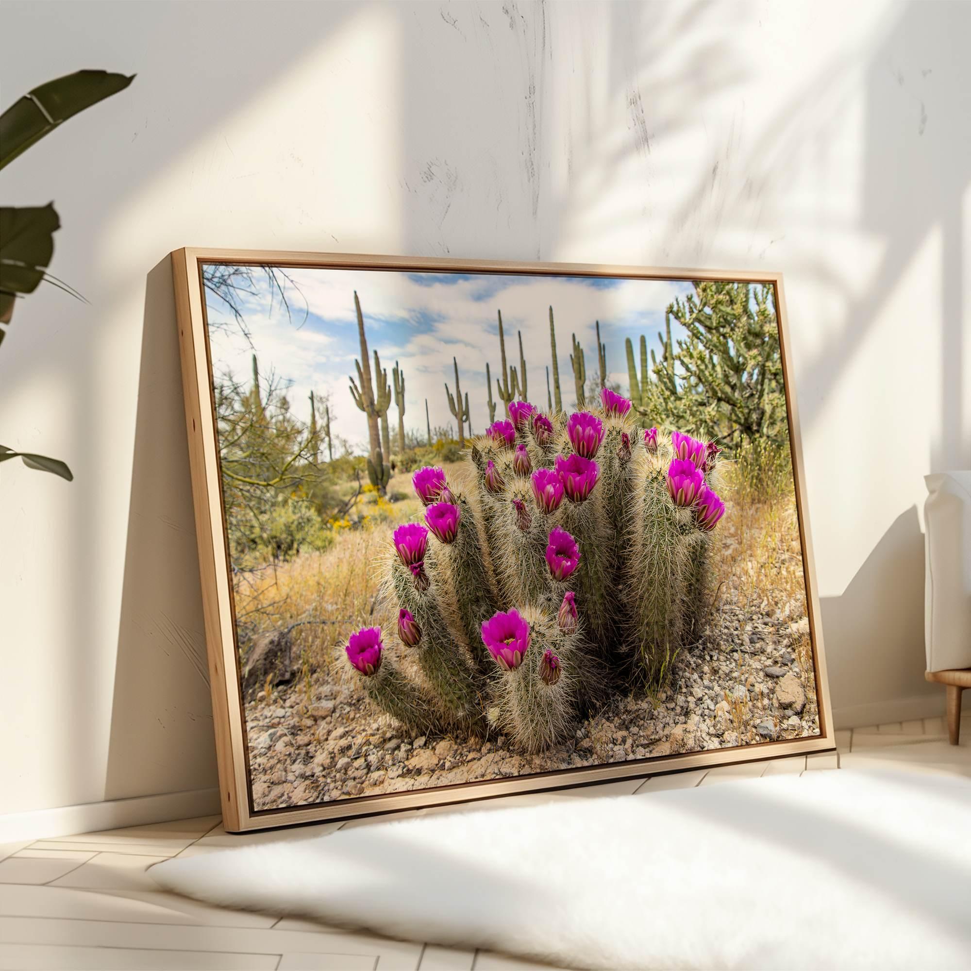 Vivid Arizona desert canvas print featuring flowering cactus and tall saguaros