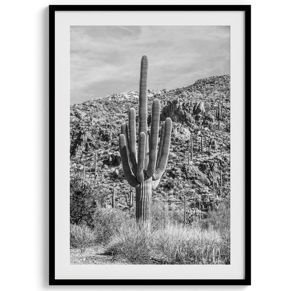 Black and white set of 3 prints featuring Saguaro National Park cacti: a figure-like cactus, one on a cactus-covered hill, and another with a branching top.