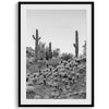 Black and white set of 3 prints featuring Saguaro National Park cacti: a figure-like cactus, one on a cactus-covered hill, and another with a branching top.