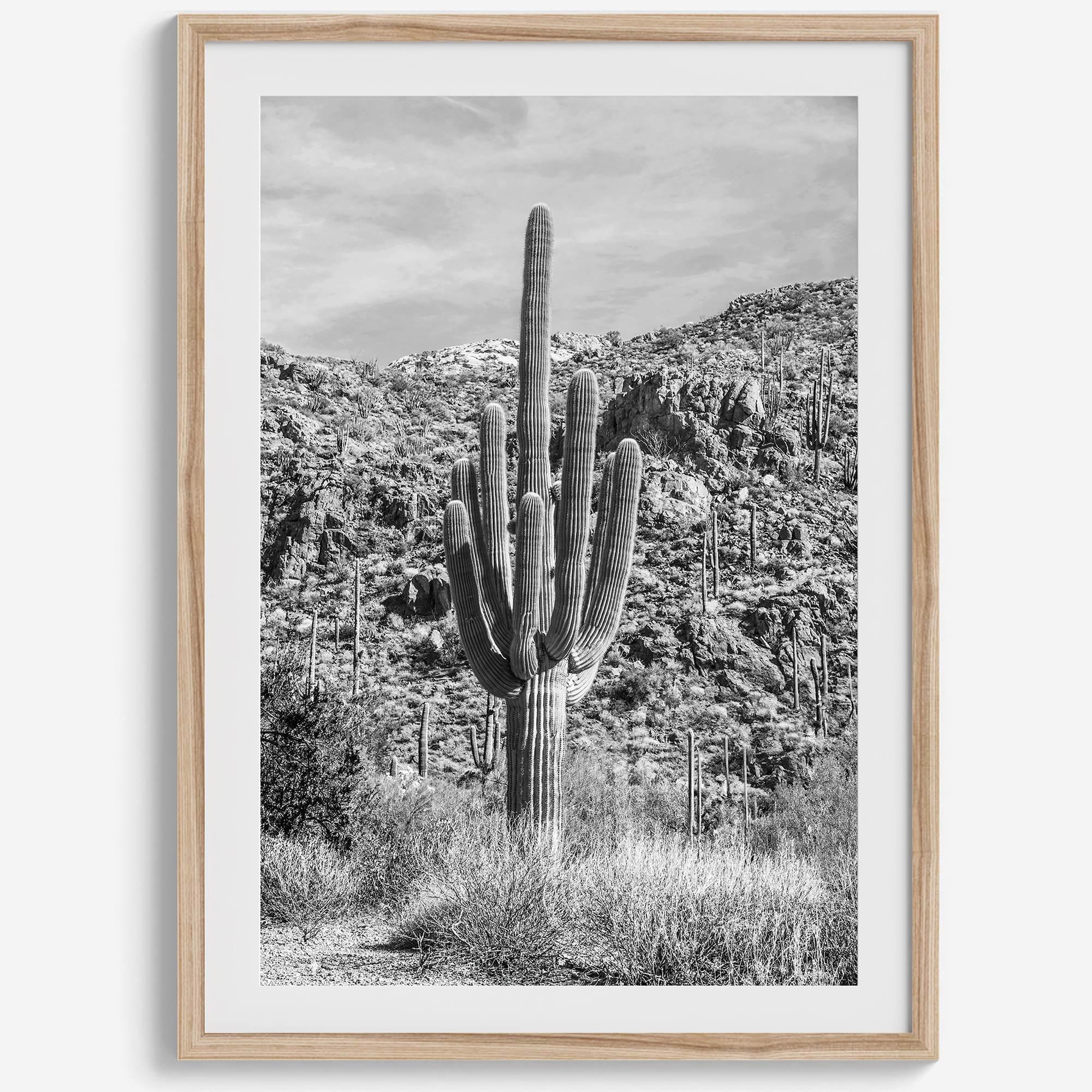 Fine Art Saguaro Cactus Desert Print - Large Retro Black and White Desert Photography Wall Art, Framed Saguaro National Park Home Wall Decor