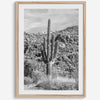 Fine Art Saguaro Cactus Desert Print - Large Retro Black and White Desert Photography Wall Art, Framed Saguaro National Park Home Wall Decor