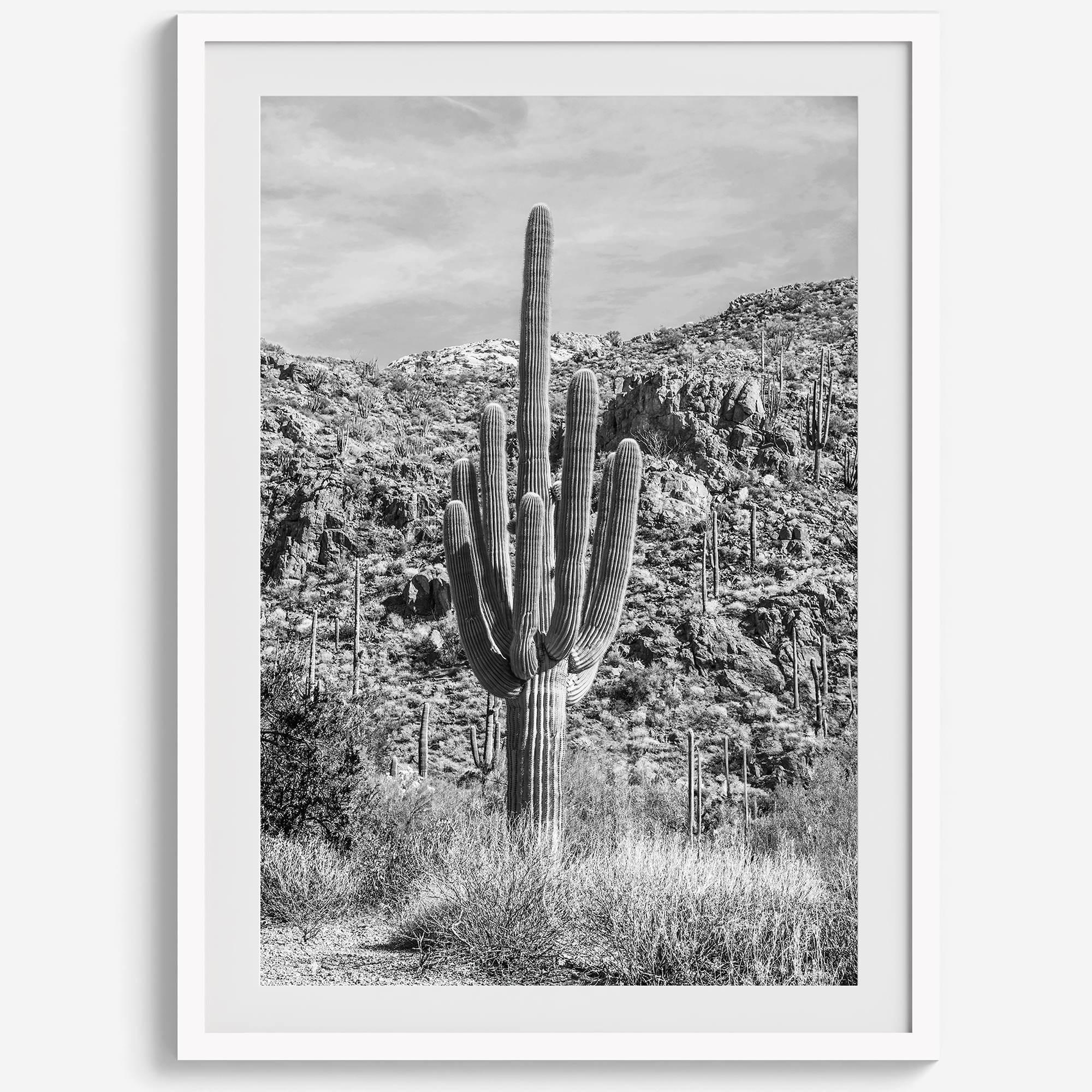 Fine Art Saguaro Cactus Desert Print - Large Retro Black and White Desert Photography Wall Art, Framed Saguaro National Park Home Wall Decor