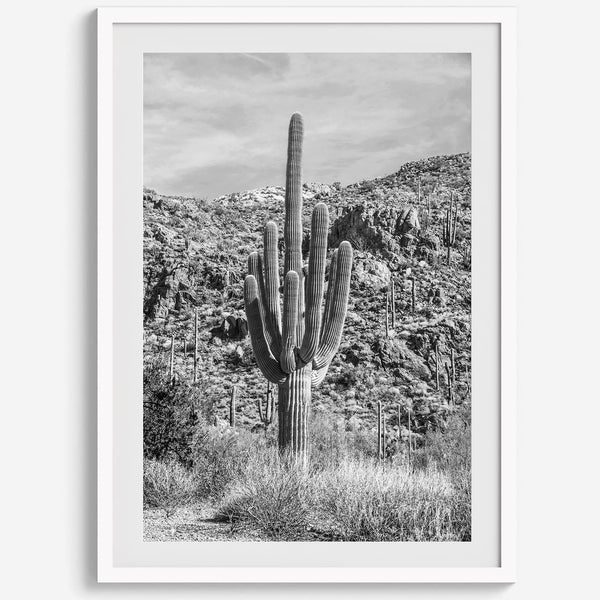 Fine Art Saguaro Cactus Desert Print - Large Retro Black and White Desert Photography Wall Art, Framed Saguaro National Park Home Wall Decor