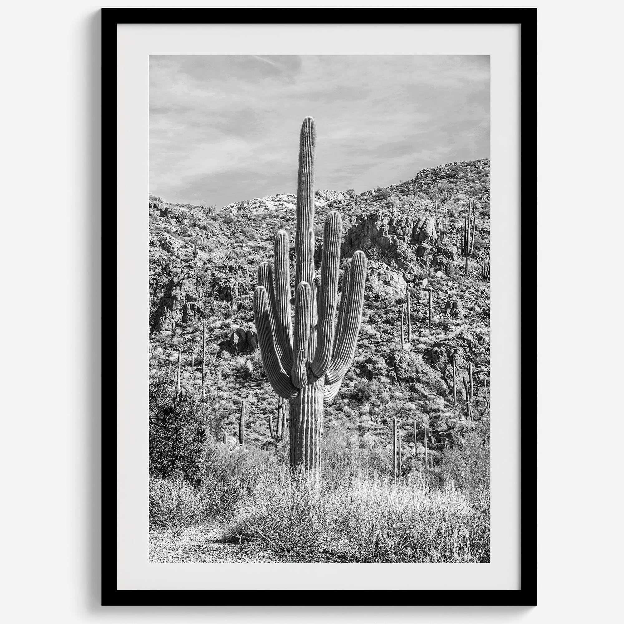 Fine Art Saguaro Cactus Desert Print - Large Retro Black and White Desert Photography Wall Art, Framed Saguaro National Park Home Wall Decor